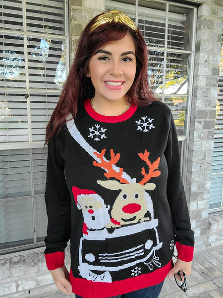 Reindeer and Santa Sweater