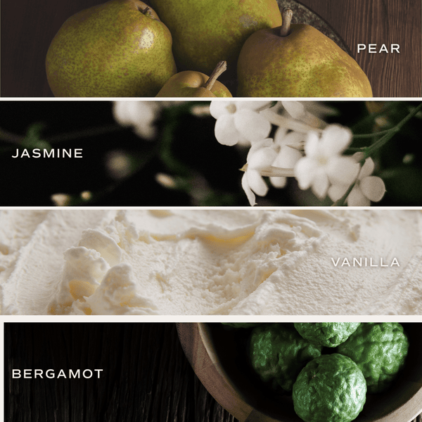 Cashmere and Vanilla Reed Diffuser - Newest Edition