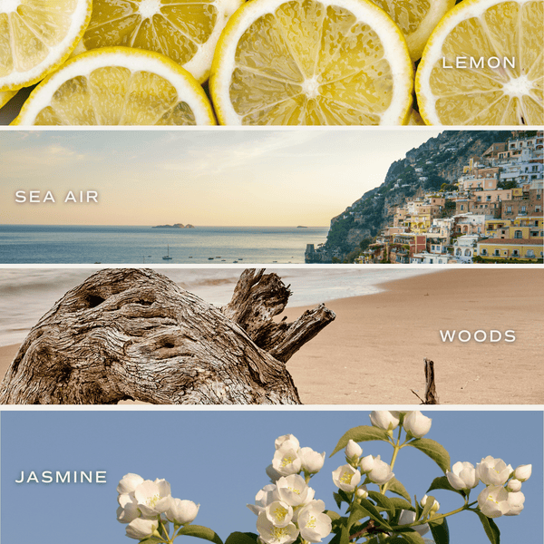 Coastal Lemon Reed Diffuser